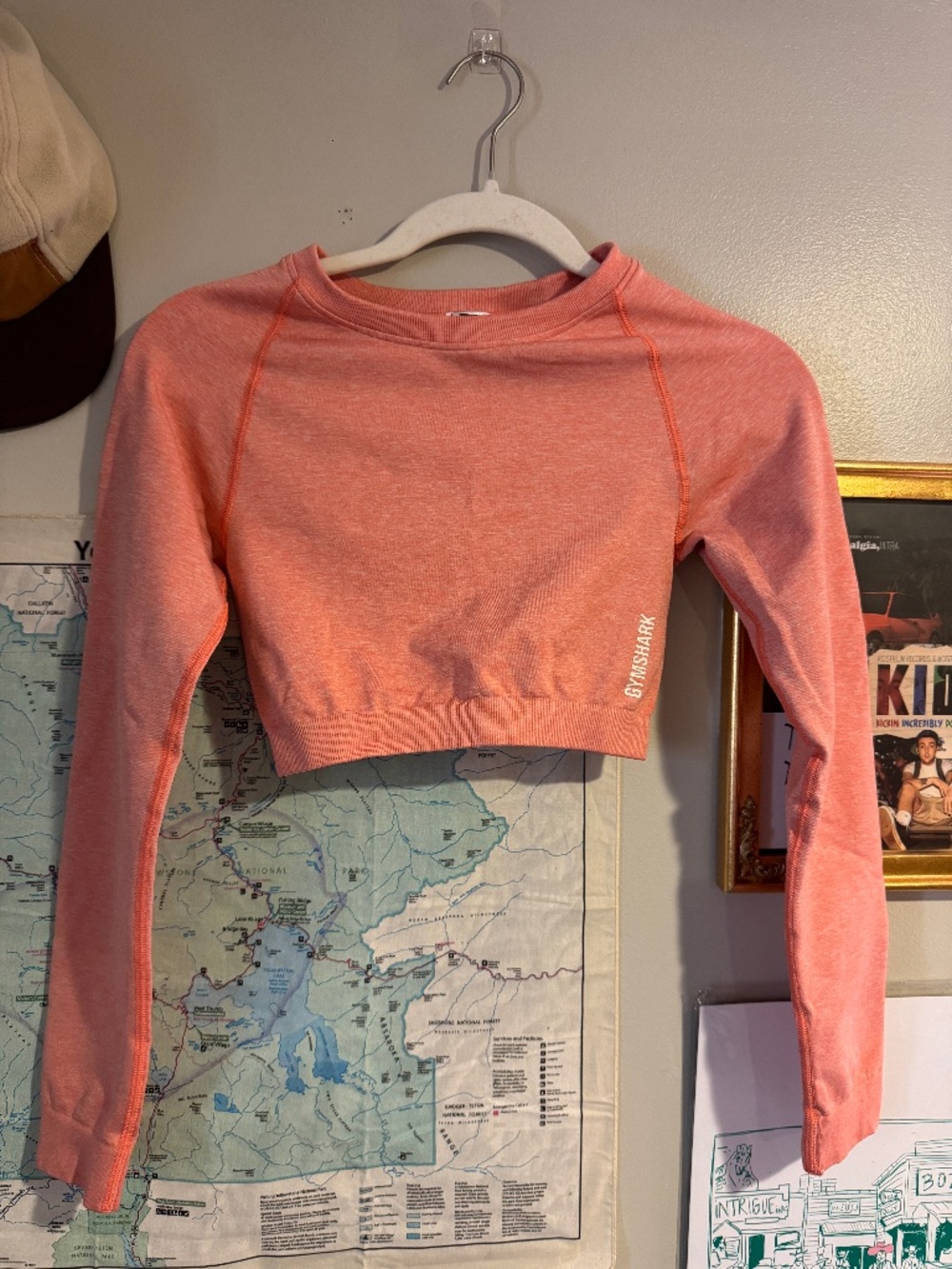 Salmon Colored Gym Shark Long Sleeve Workout Top